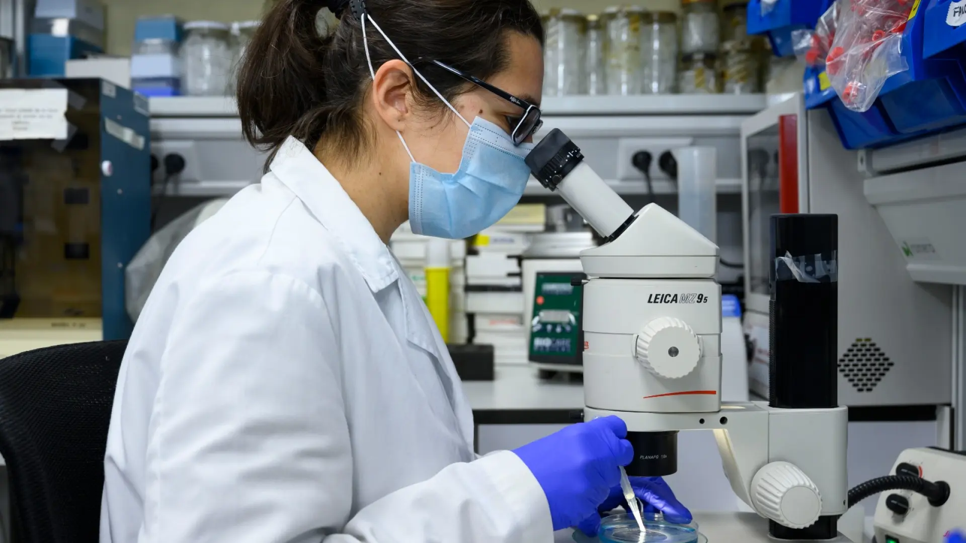 Un estudio relaciona el envejecimiento con unas mutaciones mitocondriales 'ocultas', un tipo de alteración rara