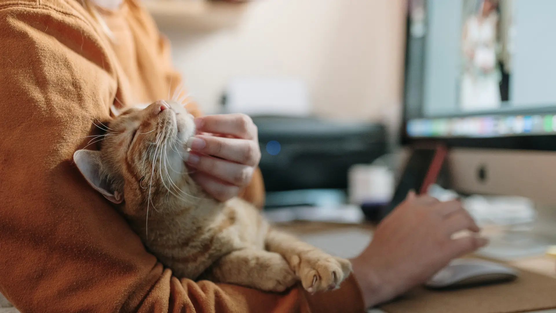 Tener mascotas puede ser tan bueno para la salud mental como una pareja: las claves de un reciente estudio