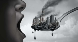 ONU apuesta a panel científico para minimizar efectos de químicos en la contaminación