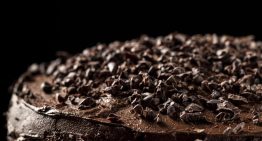 Pastel helado de Gansito: la receta más fácil y monchosa con 4 ingredientes