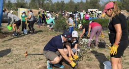BMW reforesta parque Tangamanga