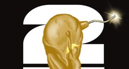Premundial