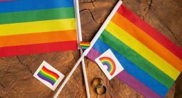 Casi 37% de las personas LGBT+ trabajan como comerciantes y profesionistas