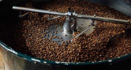 Fedeagro asegura que productores de café reciben menos ingresos pese al aumento de precio internacional