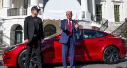 Acciones de Tesla sufrieron fuerte caída tras enfrentamiento entre Elon Musk y Donald Trump