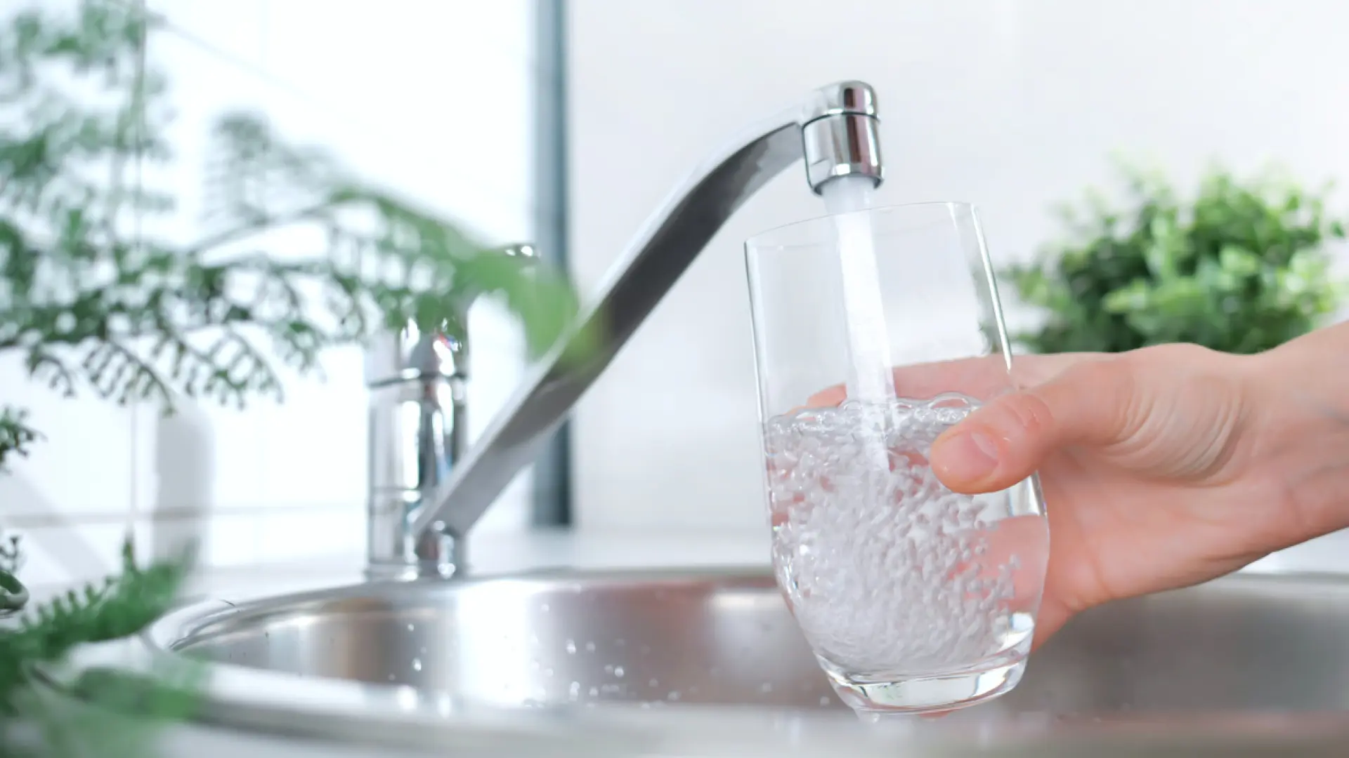 Saúl Sánchez, nutricionista: "La hidratación no es solo beber agua"