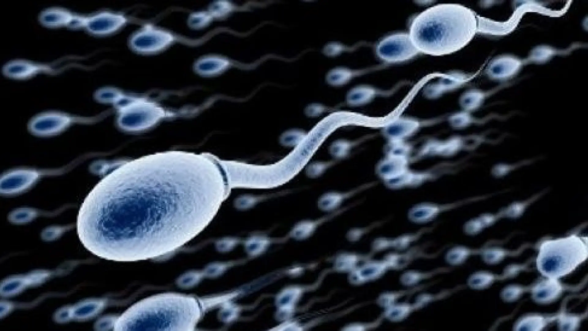 Bélgica tilda de negligencia el caso del donante de esperma con gen cancerígeno que es padre biológico de al menos 67 personas