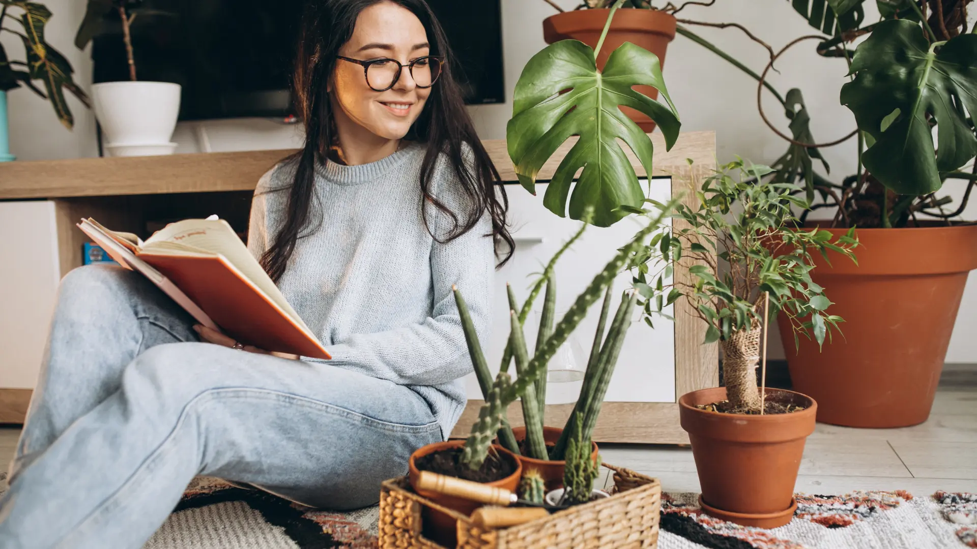 Cuál es el significado de tener muchas plantas en casa, según la psicología