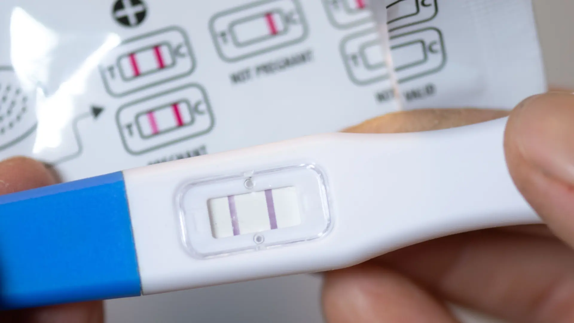 Identifican tres proteínas de células madre eficaces contra la infertilidad femenina