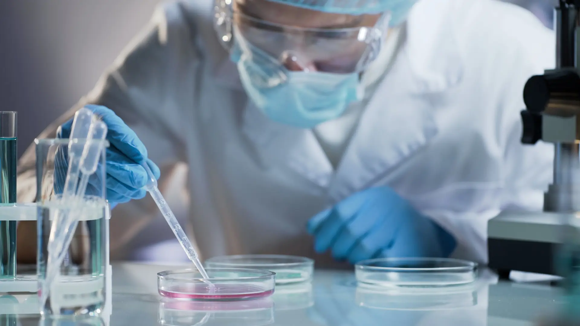 Investigadores españoles diseñan una nueva estrategia para disminuir los niveles de colesterol en sangre