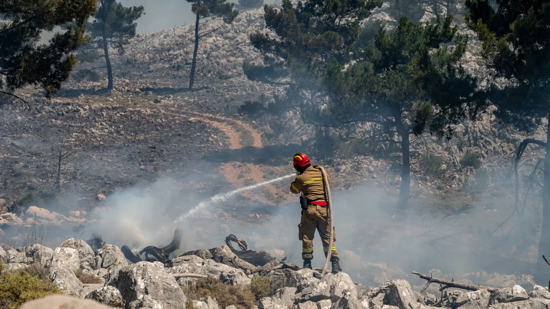 Grecia, en alerta por los incendios: declarado el estado de emergencia en la isla de Quíos