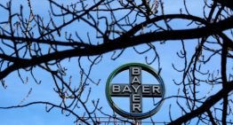 FDA retrasa decisión sobre nuevo fármaco de Bayer para la menopausia