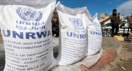 El hambre en el mundo bajó ligeramente en 2024: ONU