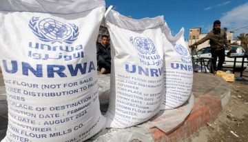 El hambre en el mundo bajó ligeramente en 2024: ONU