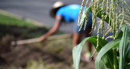 Estados Unidos amenaza a la Unión Europea con un arancel del 17% a los productos agroalimentarios
