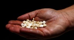 El Líbano desmantela una de las mayores fábrica de captagon
