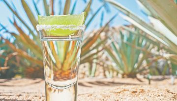 Día Internacional del Tequila: expansión, sofisticación y desafíos sustentables