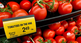 Más de 200,000 de trabajos están en vilo por cuota compensatoria al tomate de México