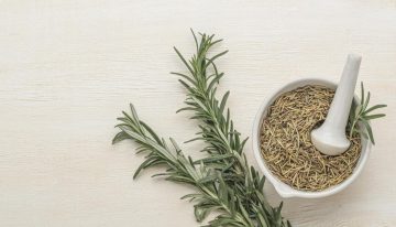 Romero: el arbusto aromático que resiste todo y mejora tu cocina, ¡plántalo!