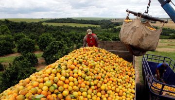 Brasil busca nuevos mercados tras arancel del 50% de Estados Unidos a sus alimentos