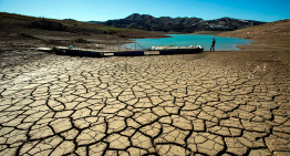 La Haya declara que los Estados son legalmente responsables por la crisis climática