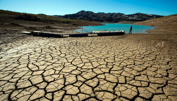 La Haya declara que los Estados son legalmente responsables por la crisis climática