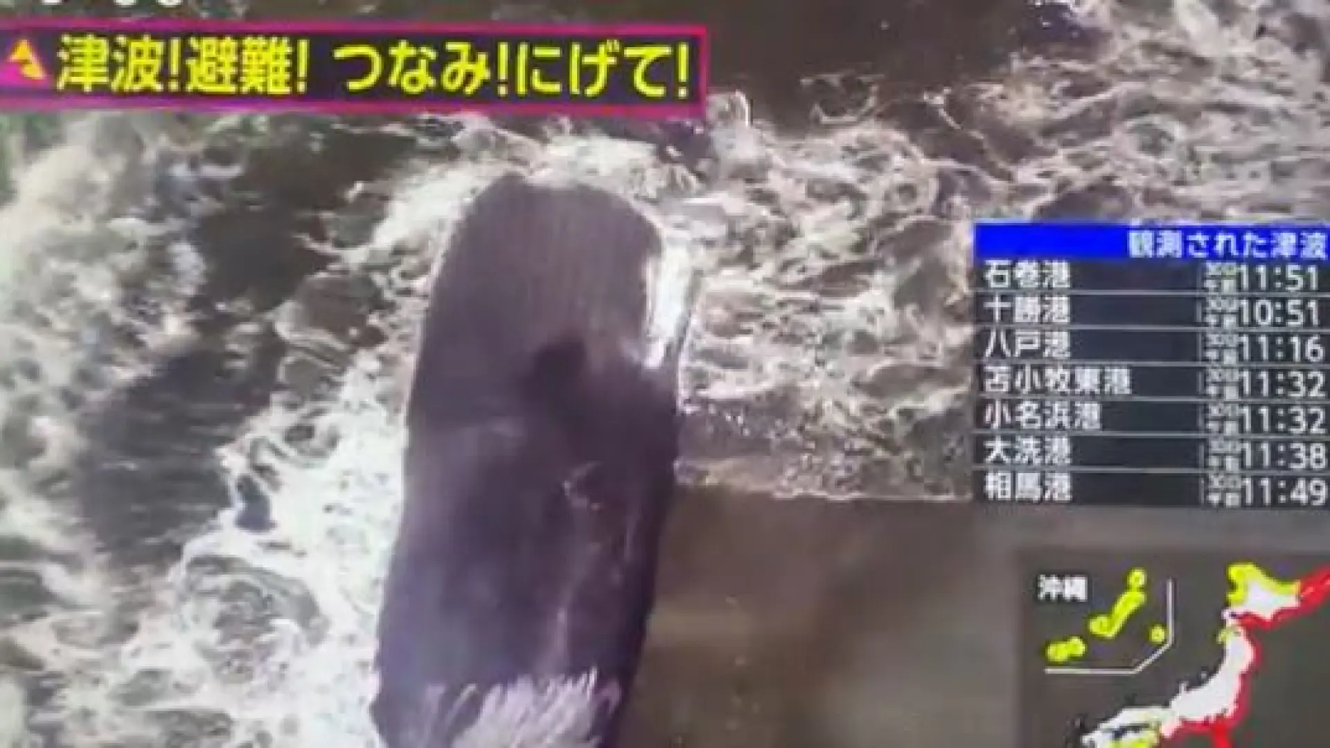Las espectaculares imágenes de cuatro ballenas varadas en las playas de Japón horas antes de la alerta de tsunami por el terremoto del Pacífico