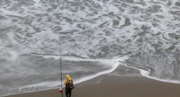 Expertos advierten de que las réplicas del sismo de Kamchatka pueden provocar tsunamis: «Hay efectos impredecibles»