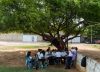 El colapso del sistema educativo venezolano: anatomía de una caída