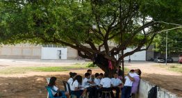 El colapso del sistema educativo venezolano: anatomía de una caída