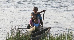 Provea desnudó la emergencia humanitaria silenciada que se vive en los pueblos indígenas de Venezuela
