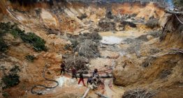 VIDEO: mineros ilegales sostienen entre burlas la deforestación al sur del Orinoco