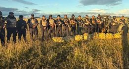 GNB-PNB incauta más de tres toneladas de marihuana en Apure y Falcón