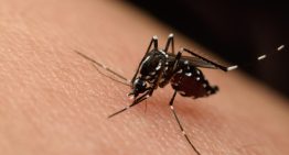 Huníades Urbina aboga por difundir campaña para prevenir dengue y chikungunya en Venezuela