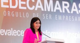 Vicepresidenta, ministra de Hidrocarburos y madrina de Lara: Delcy Rodríguez recibió otro cargo para su currículum