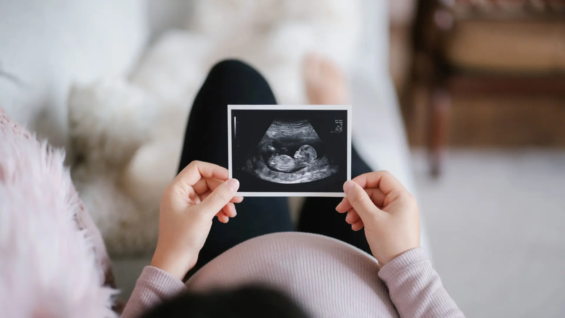 Investigadores belgas desarrollan un sistema con ayuda de la IA para tratamientos de fertilidad