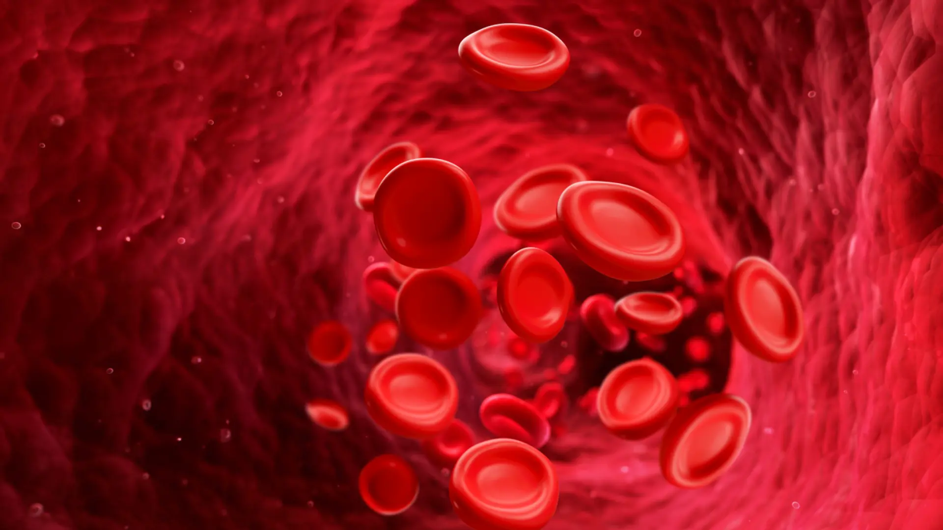 Científicos españoles confirman que las personas centenarias tienen menos azúcar y ácido úrico en la sangre