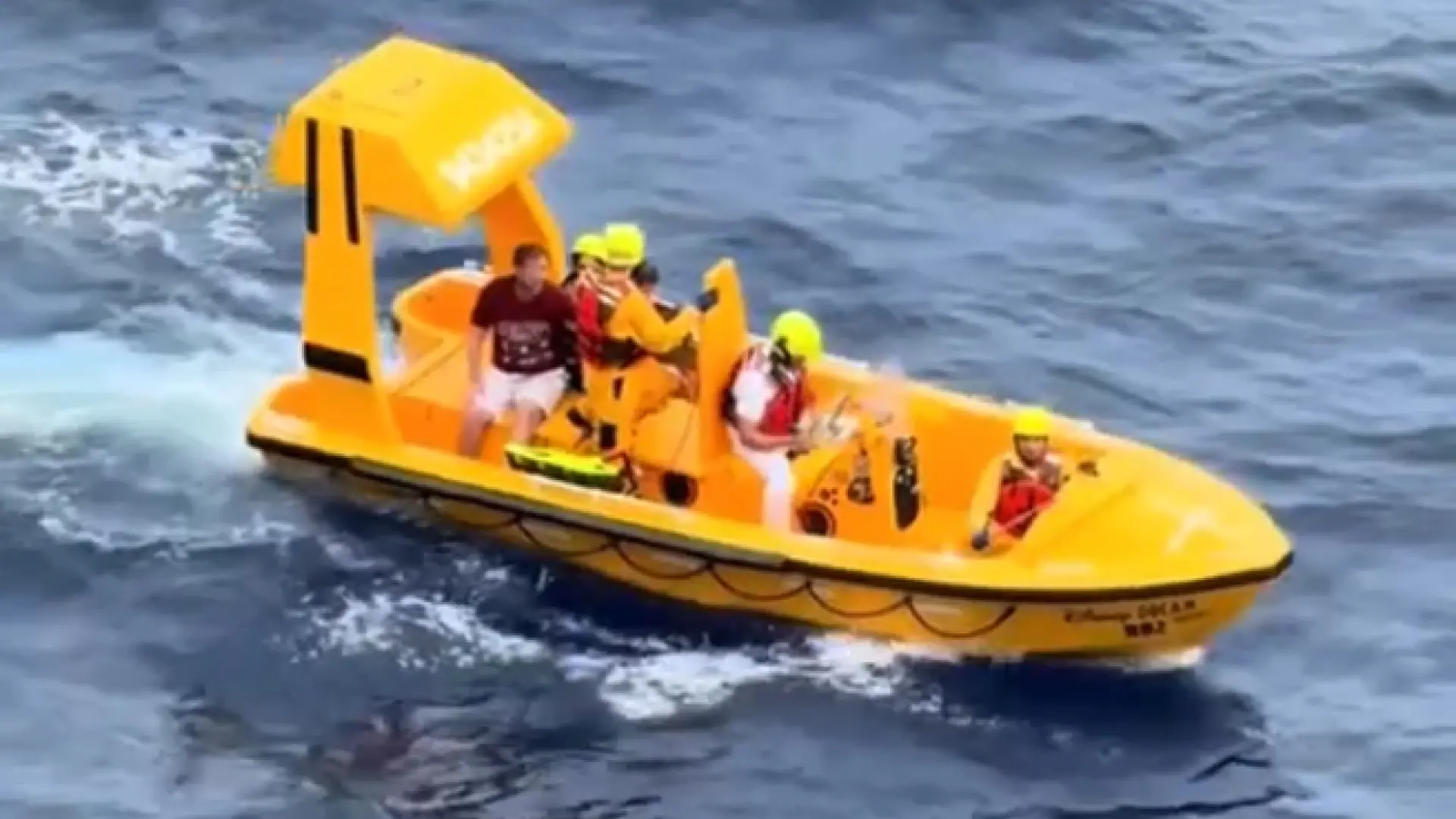 Dramático rescate de un padre a su hija después de que la pequeña se cayera por la borda en un crucero Disney