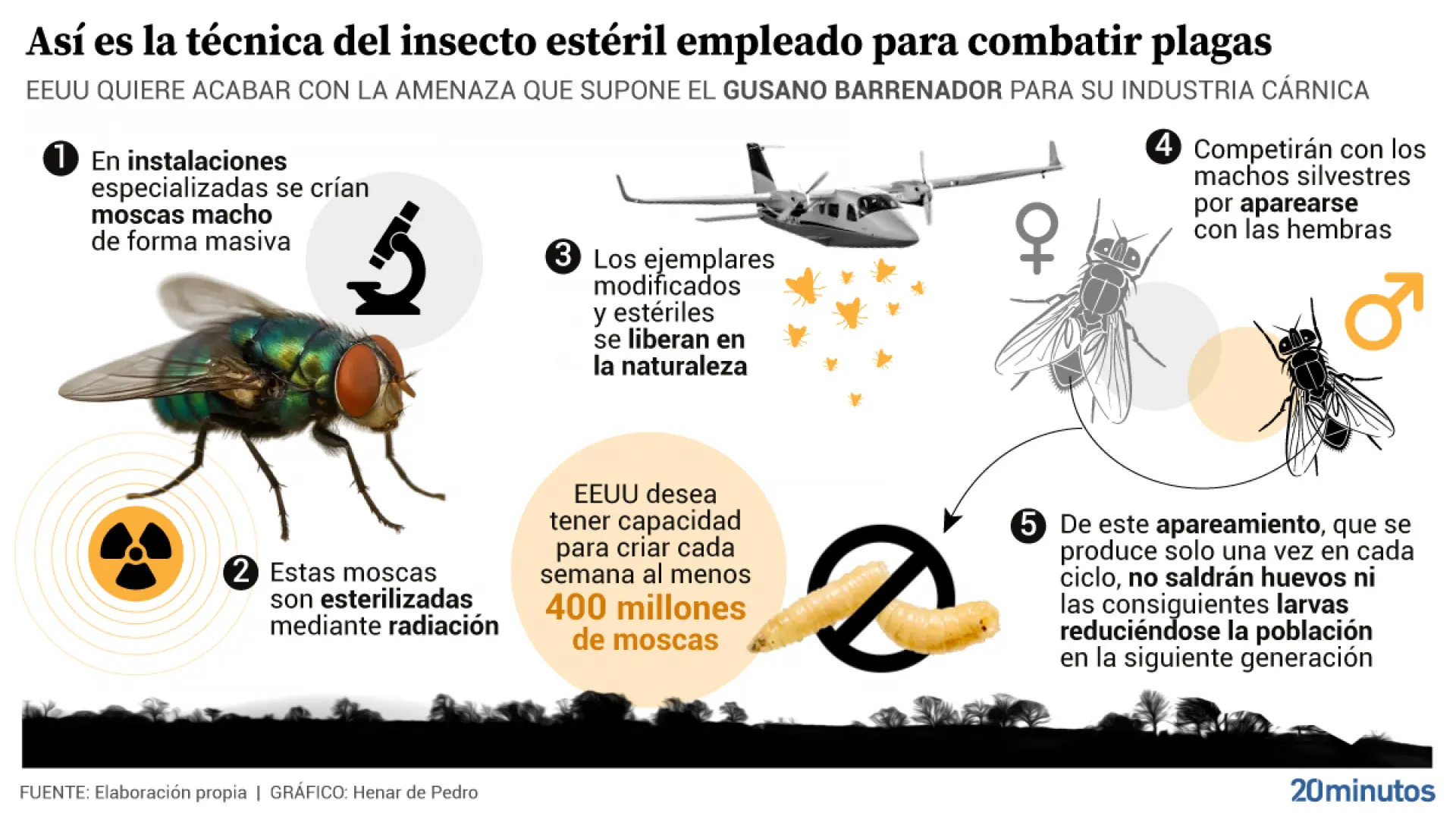 Así es plan de EEUU para criar en laboratorio millones de moscas y lanzarlas a México para combatir al peligroso gusano barrenador