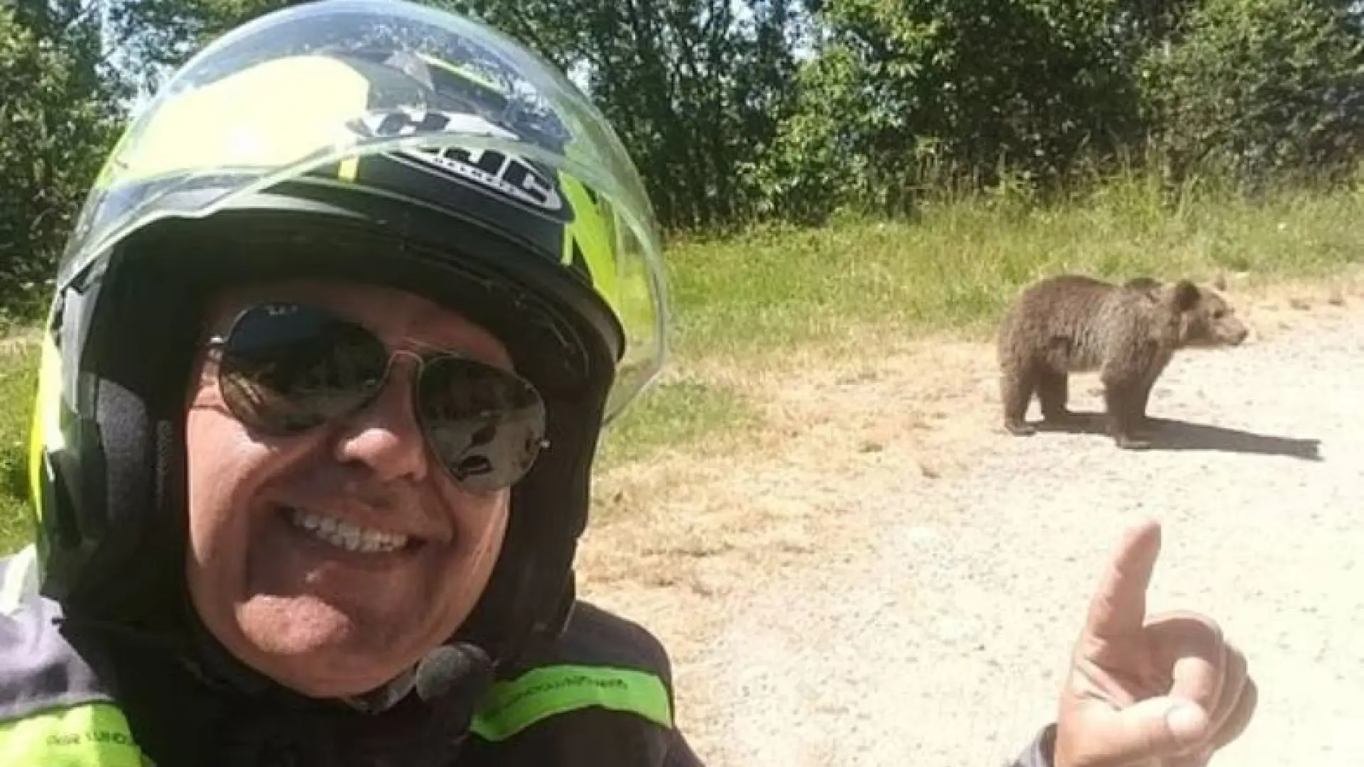 Muere un turista atacado por una osa tras hacerse un 'selfie' con uno de sus cachorros