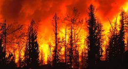 Portugal alerta por riesgo de incendios ante alza prevista de las temperaturas