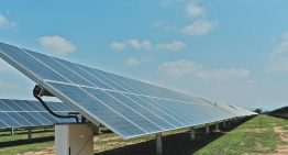 Donald Trump cancela programa de 7,000 millones de dólares para promover la energía solar