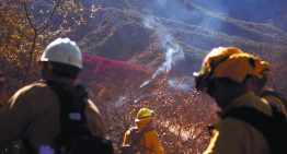 2025 apunta a ser el peor año de incendios del siglo en España, advierte WWF