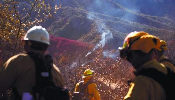 2025 apunta a ser el peor año de incendios del siglo en España, advierte WWF