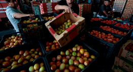 México establece precios mínimos de exportación para el tomate fresco