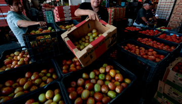 México establece precios mínimos de exportación para el tomate fresco