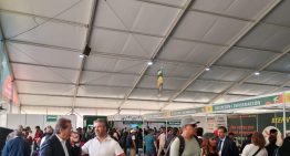 Feria de Afores 2025: los 5 trámites más solicitados en el Zócalo de la Ciudad de México