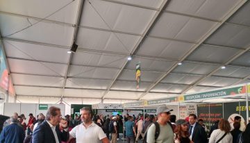 Feria de Afores 2025: los 5 trámites más solicitados en el Zócalo de la Ciudad de México
