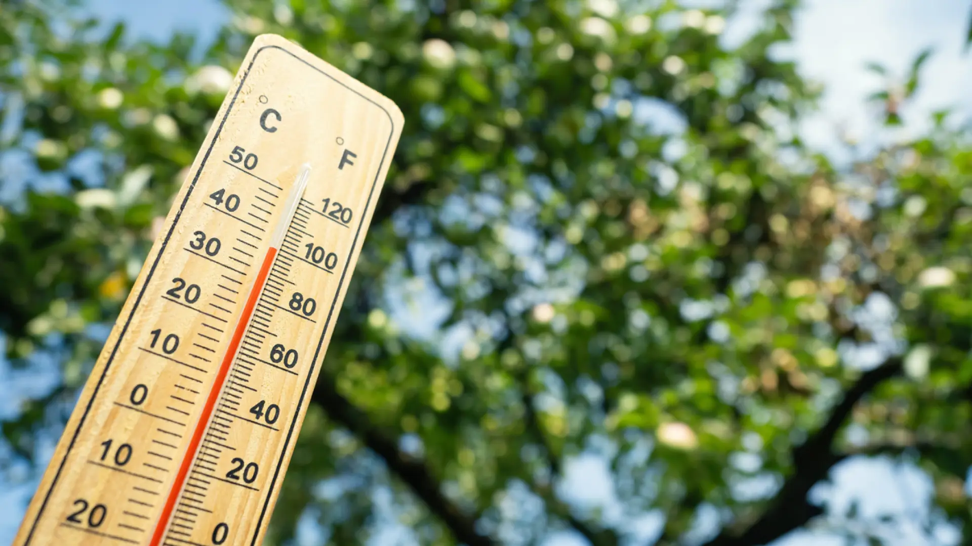 ¿Cómo afectan al cerebro las altas temperaturas? Los expertos dan consejos para protegerlo
