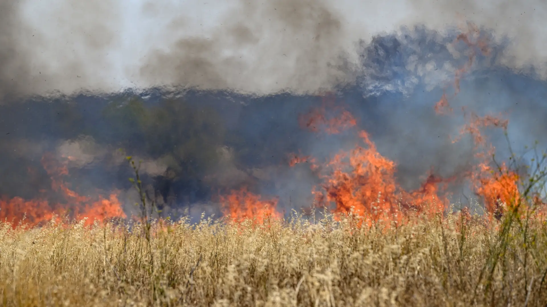 El incendio en el sur de Francia continúa activo, aunque su avance es más lento
